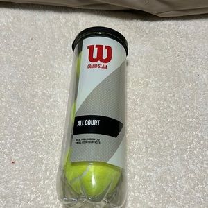 Wilson grand slam  balls